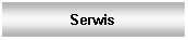 Pole tekstowe: Serwis