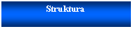 Pole tekstowe: Struktura