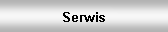 Pole tekstowe: Serwis
