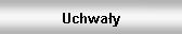 Pole tekstowe: Uchwa�y